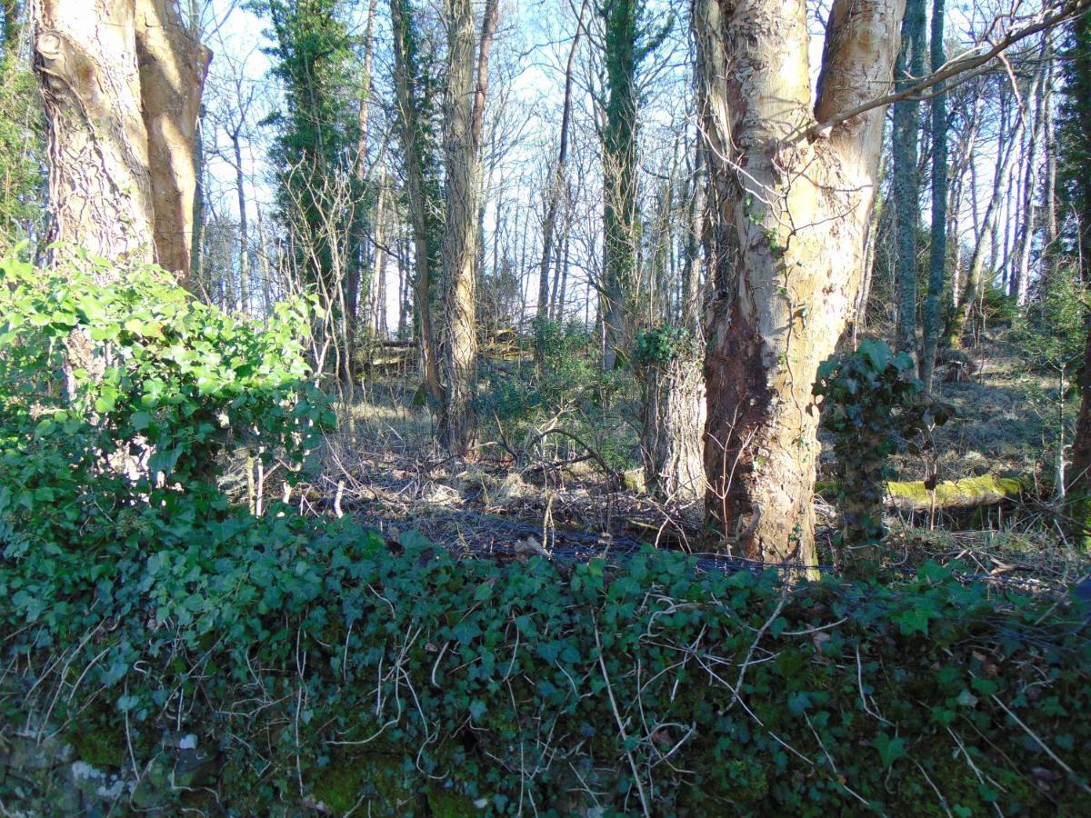 Dreamwood Cottage, Loch Lomond, Luxury Apartment. Glasgow Zewnętrze zdjęcie