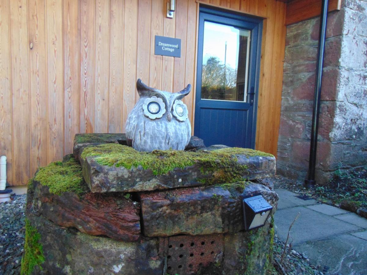 Dreamwood Cottage, Loch Lomond, Luxury Apartment. Glasgow Zewnętrze zdjęcie